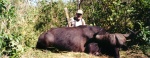 George Krasinski with his hard bossed Cape Buffalo