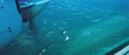 hunting in mozambique, the area is unique in its habitat diversity with large rivers, swamps, grassy plains and forests each contributing to the large animal diversity